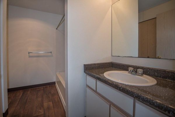 Bathroom, Interior, Wood Texture Flooring