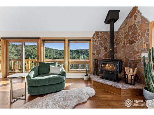 Fireplace, Interior, Stone Walls, Wood Texture Flooring