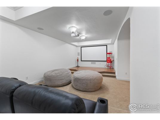 Interior, Projection Screen, Wood Texture Flooring