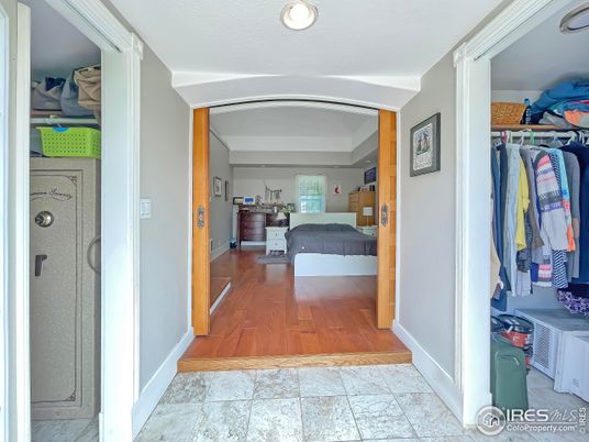 Interior, Recessed Lighting, Walk-in Closets, Wood Texture Flooring