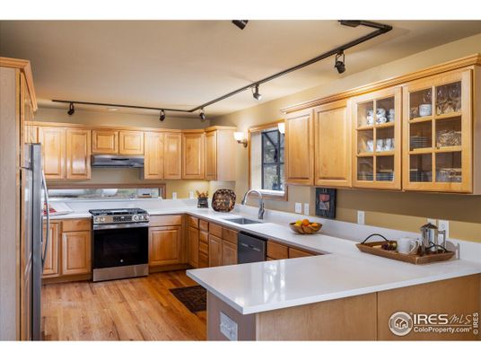 Interior, Kitchen, Stainless Steel Appliances, Wood Texture Flooring