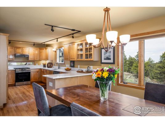 Chandelier, Dining room, Interior, Kitchen, Stainless Steel Appliances, Wood Texture Flooring