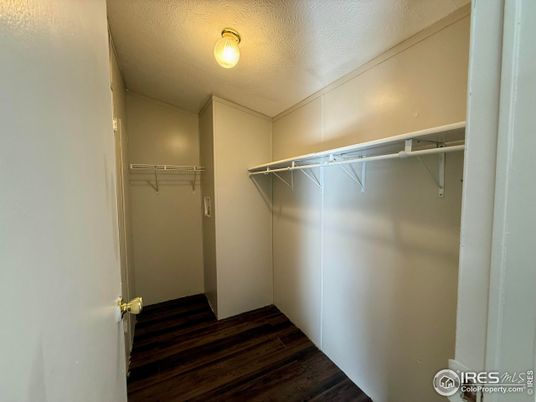 Interior, Walk-in Closets, Wood Texture Flooring