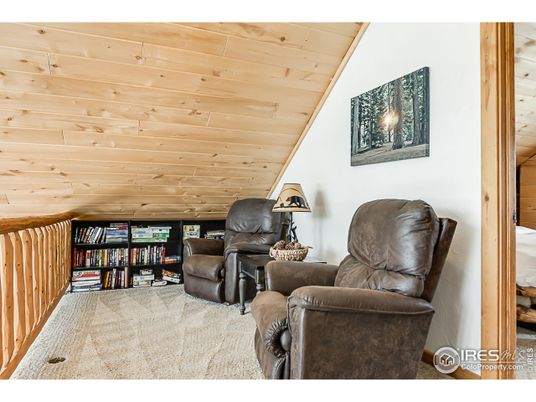 Interior, Wooden Ceilings