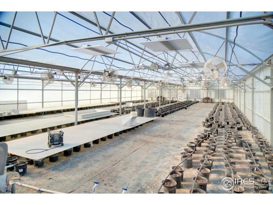 Glass Ceilings, Interior, Sun Room