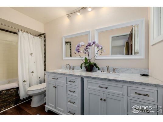 Bathroom, Dual Sink Vanities, Interior, Wood Texture Flooring
