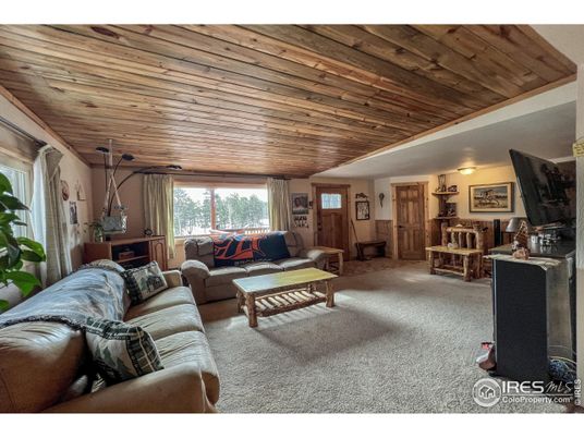 Interior, Living room, Wooden Ceilings