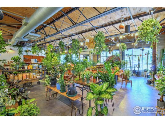 Interior, Sun Room, Wooden Ceilings