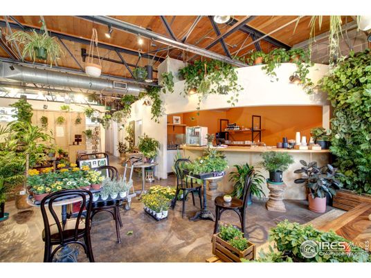 Dining room, Interior, Wooden Beams, Wooden Ceilings