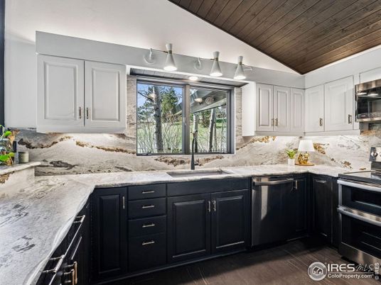 Interior, Kitchen, Stainless Steel Appliances, Wooden Ceilings, Wood Texture Flooring