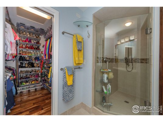 Bathroom, Glass Shower, Interior, Recessed Lighting, Walk-in Closets, Wood Texture Flooring