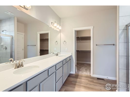 Bathroom, Dual Sink Vanities, Interior, Walk-in Closets, Wood Texture Flooring