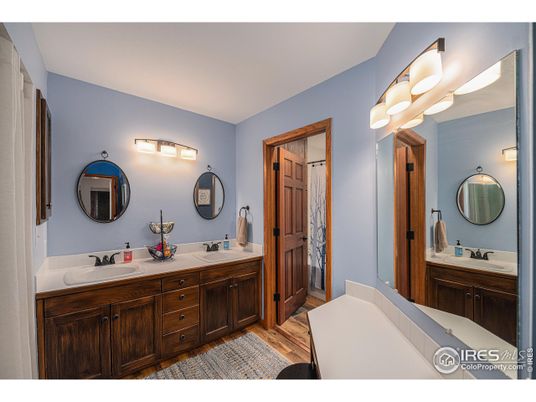 Bathroom, Dual Sink Vanities, Interior, Wood Texture Flooring