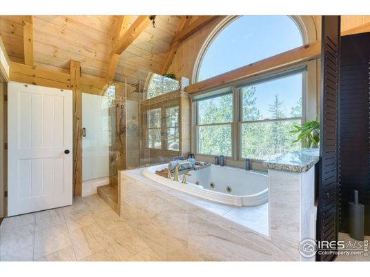 Bathroom, Glass Shower, Interior, Wooden Beams, Wooden Ceilings