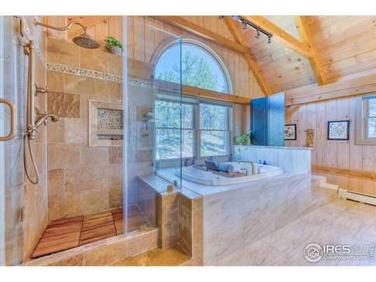 Bathroom, Glass Shower, Interior, Wooden Beams, Wooden Ceilings, Wooden Walls