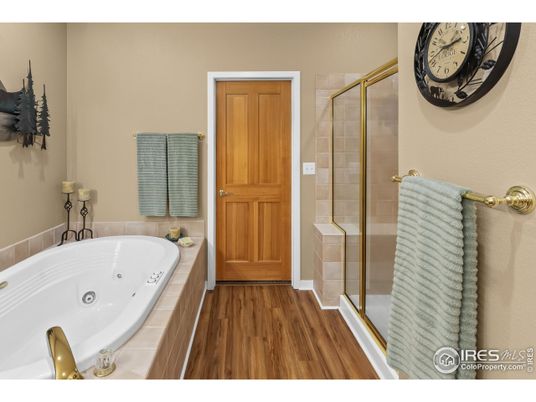 Bathroom, Glass Shower, Interior, Wood Texture Flooring
