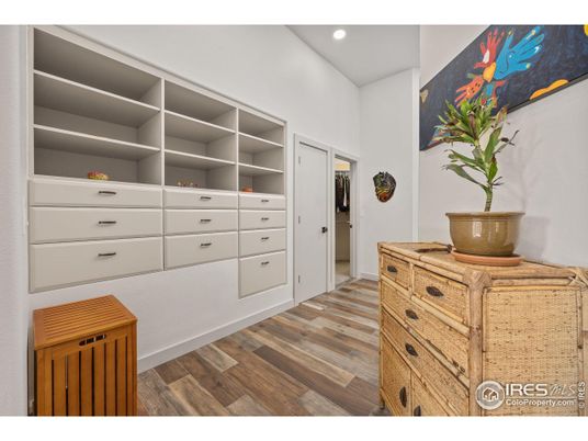 Interior, Recessed Lighting, Walk-in Closets, Wood Texture Flooring