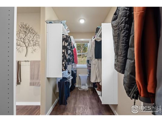 Interior, Recessed Lighting, Walk-in Closets, Wood Texture Flooring