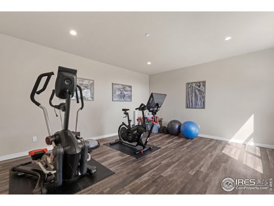 Fitness Equipment, Interior, Recessed Lighting, Wood Texture Flooring