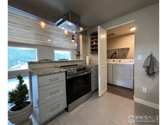 Interior, Kitchen, Recessed Lighting, Washer, Wood Texture Flooring