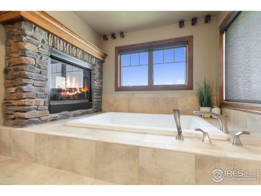 Bathroom, Fireplace, Interior