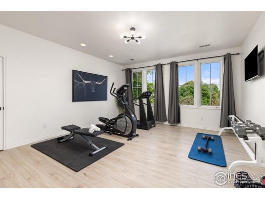 Fitness Equipment, Interior, Recessed Lighting, Wood Texture Flooring