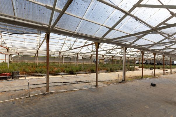 Glass Ceilings, Interior, Sun Room