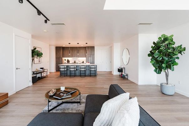 Interior, Kitchen, Living room, Recessed Lighting, Wood Texture Flooring