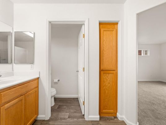 Bathroom, Interior, Wood Texture Flooring