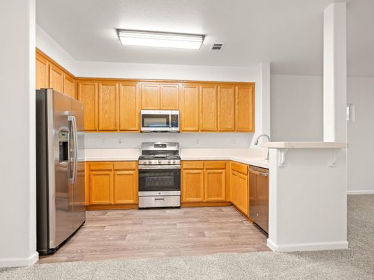 Interior, Kitchen, Stainless Steel Appliances, Wood Texture Flooring