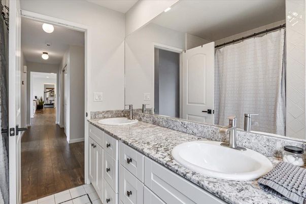 Bathroom, Dual Sink Vanities, Interior, Wood Texture Flooring