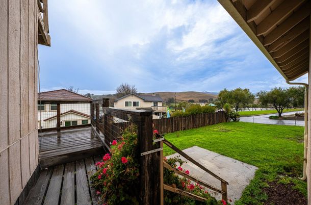 Backyard, Exterior, Water