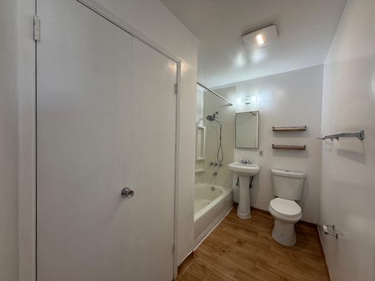 Bathroom, Interior, Wood Texture Flooring