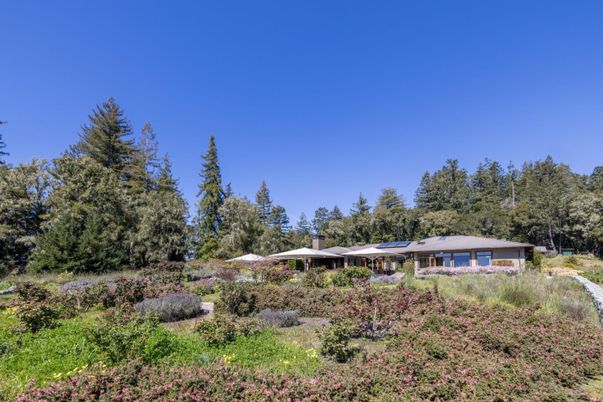 Backyard, Exterior, Solar Panels
