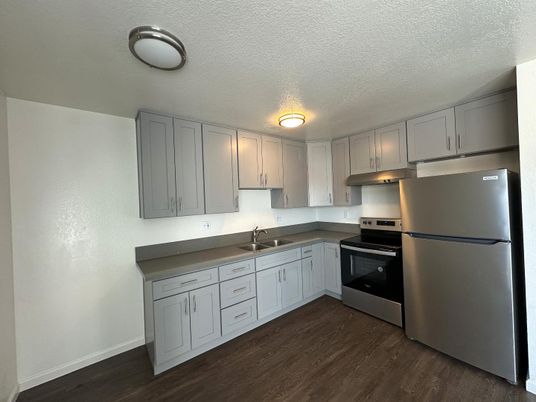 Interior, Kitchen, Stainless Steel Appliances, Wood Texture Flooring