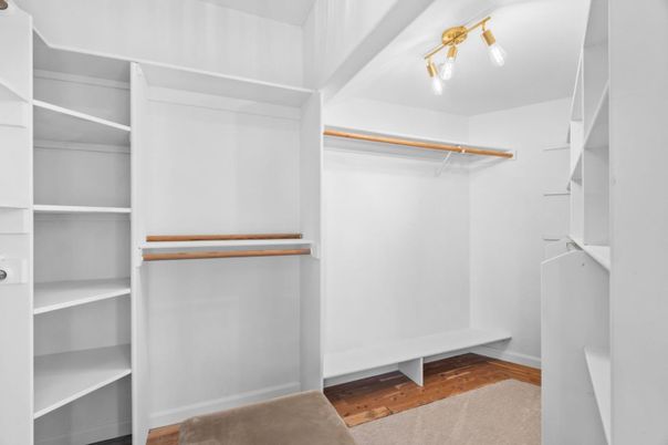 Interior, Walk-in Closets, Wood Texture Flooring