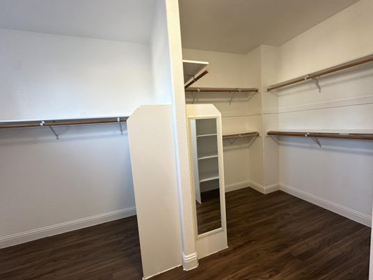 Interior, Walk-in Closets, Wood Texture Flooring