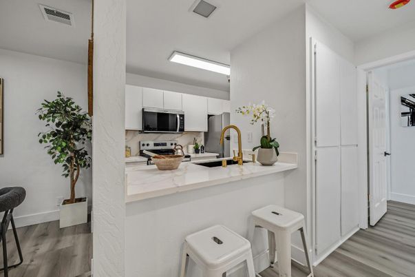 Interior, Kitchen, Stainless Steel Appliances, Wood Texture Flooring