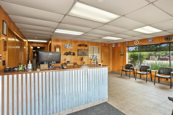 Interior, Recessed Lighting, Wooden Walls