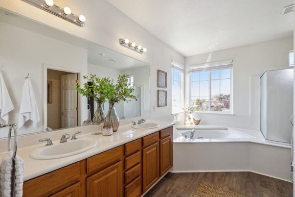Bathroom, Dual Sink Vanities, Interior, Wood Texture Flooring