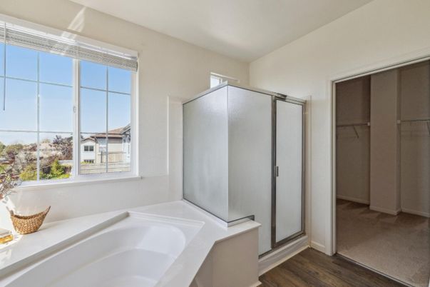 Bathroom, Glass Shower, Interior, Wood Texture Flooring