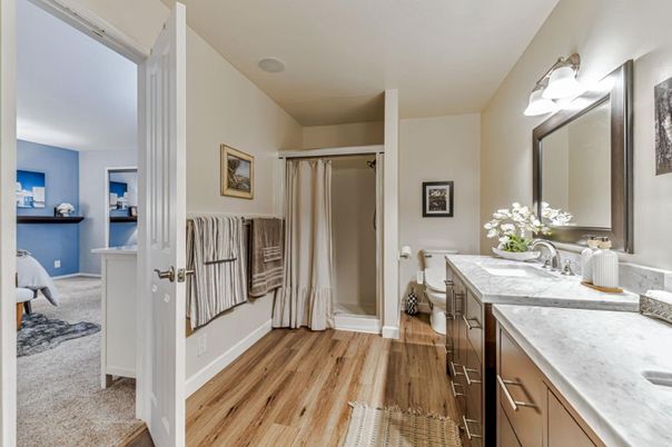 Bathroom, Interior, Wood Texture Flooring