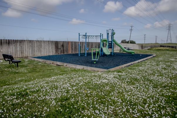 Backyard, Exterior, Playground