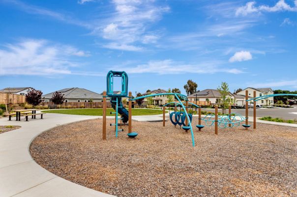 Backyard, Exterior, Playground