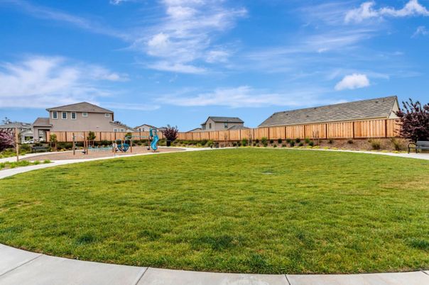Backyard, Exterior, Playground