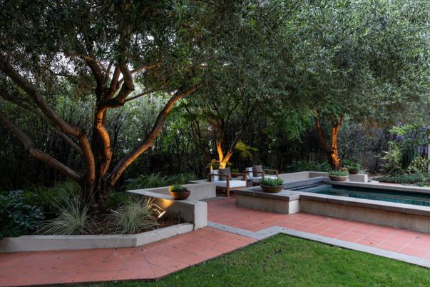 Backyard, Exterior, Pool