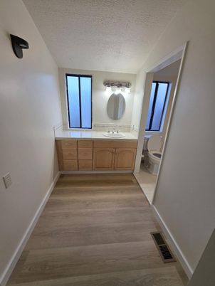 Bathroom, Dual Sink Vanities, Interior, Wood Texture Flooring