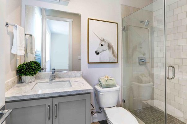 Bathroom, Glass Shower, Interior