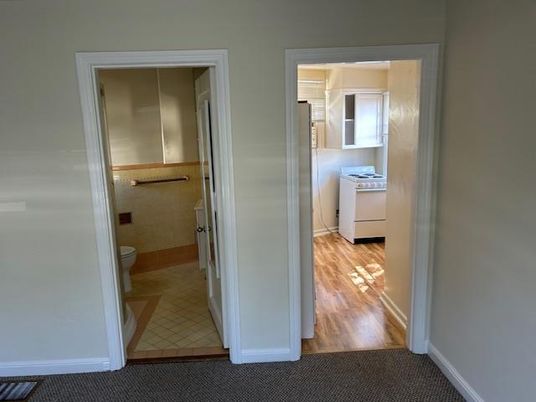 Bathroom, Interior, Washer, Wood Texture Flooring