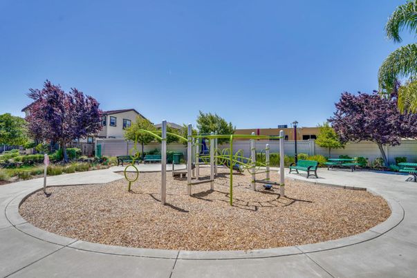 Backyard, Exterior, Playground